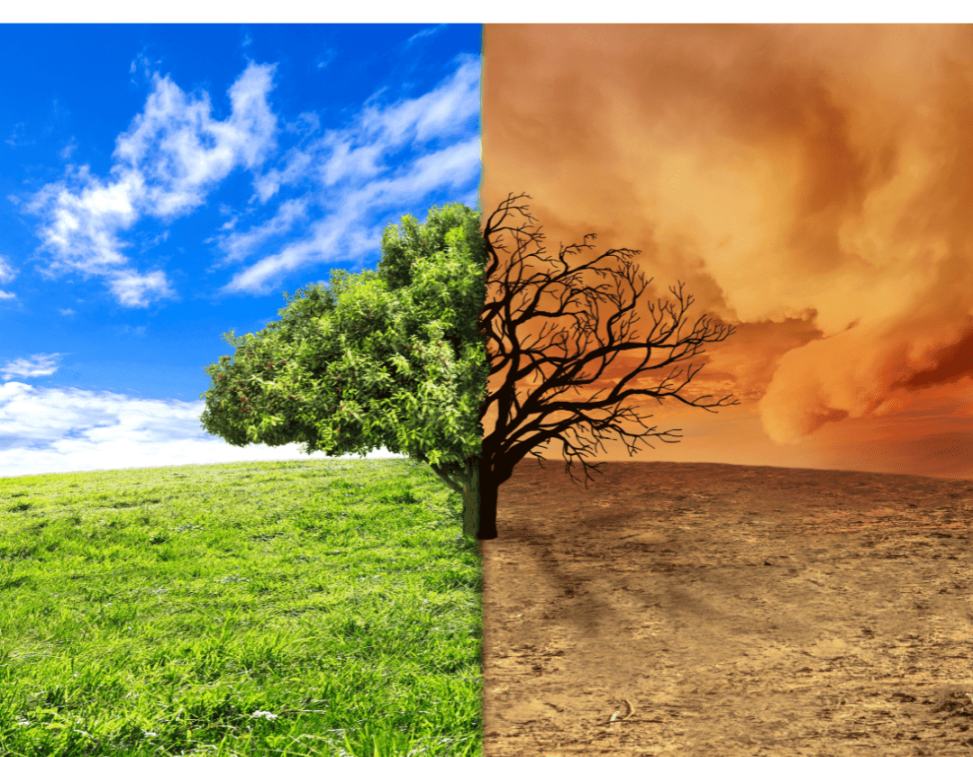 Climate Change