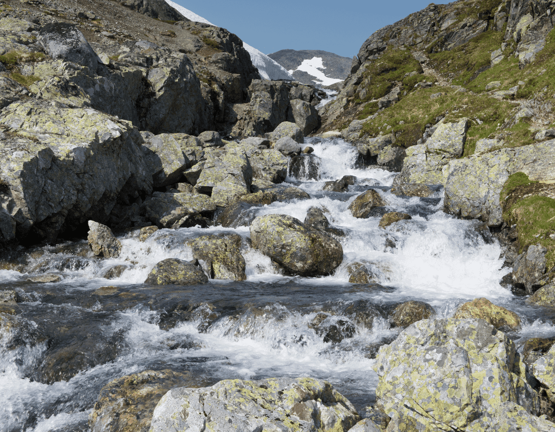Earlier Snowmelt