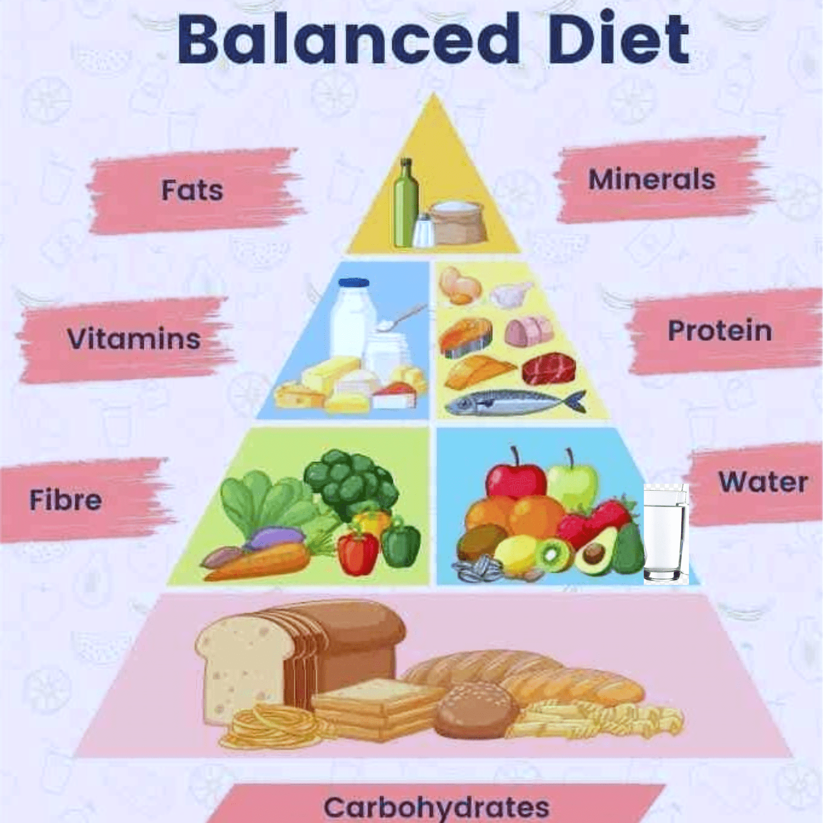 Balanced Diet Components