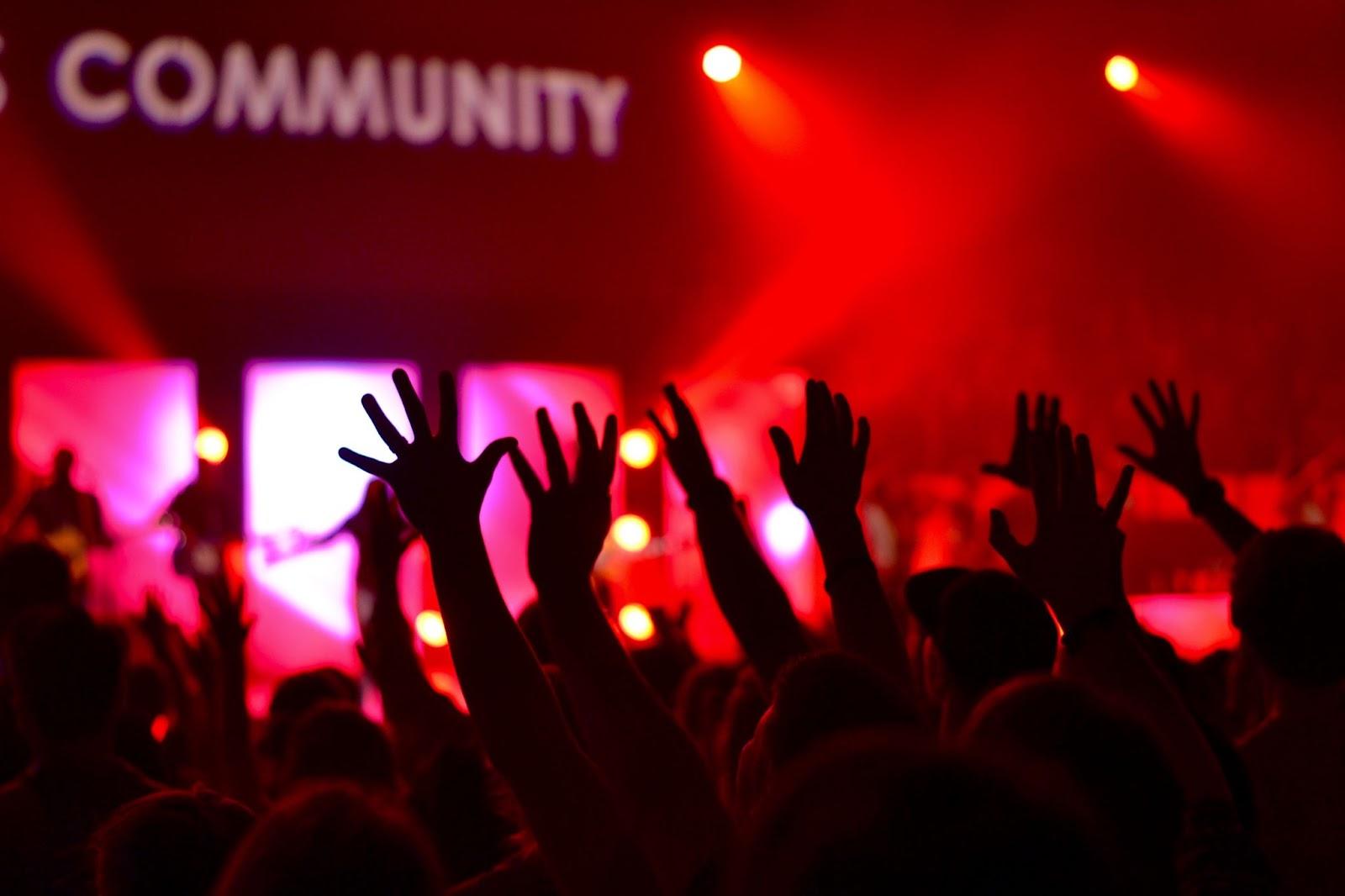 Online niche community