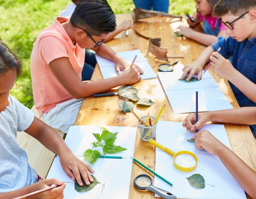 Best Learning Methods