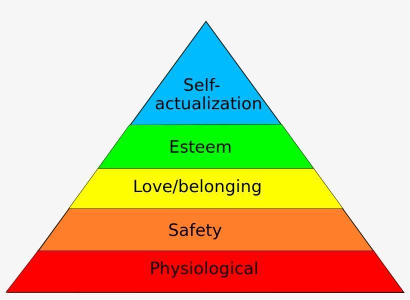 Consumer behavior