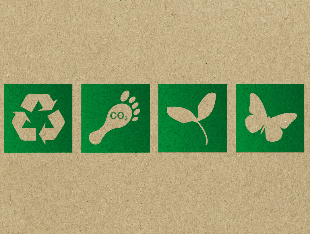 Best Eco-Friendly Practices