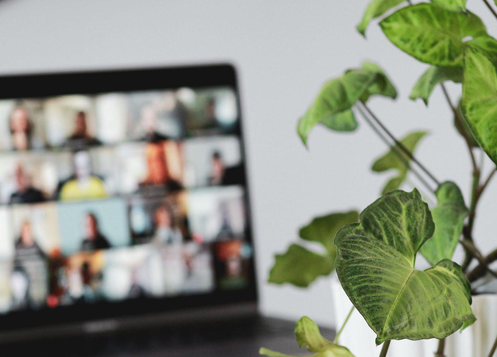 Monetize your online community
