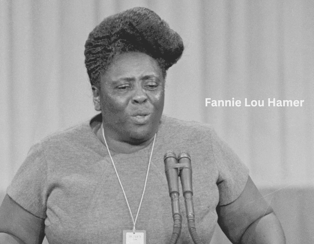 Black History Political Power Activist