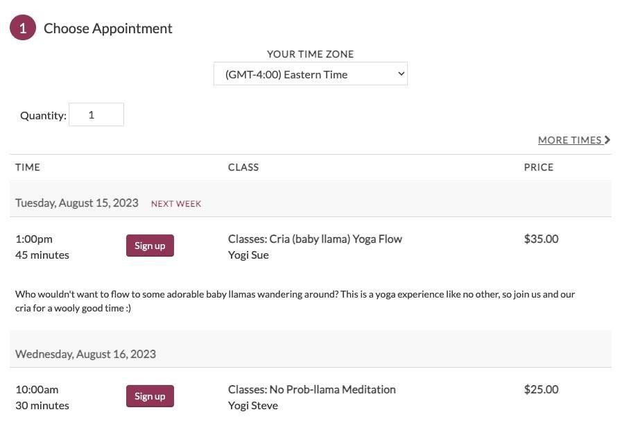 Best Acuity Scheduling Alternative